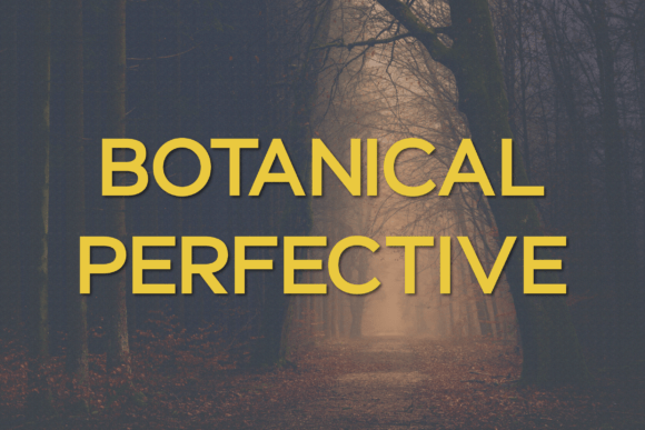 Botanical Perfective: A Modern Sans Serif Typeface for Campaign-Ready Design