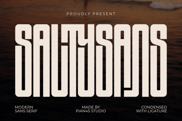 Salty Sans: A Bold Sans Serif Font for Business Branding